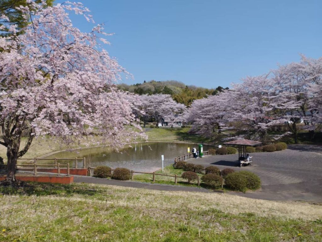 都賀の里桜景色