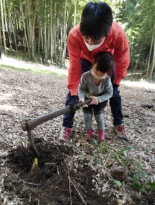 タケノコ掘りの様子